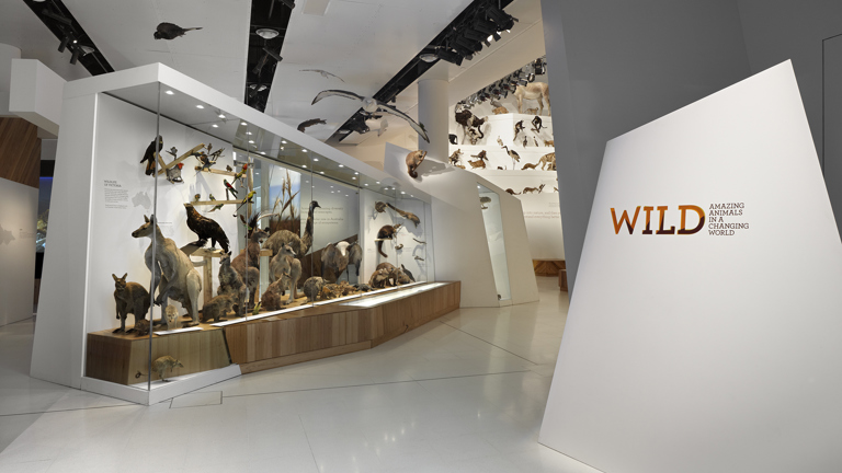 View of the Wild Amazing Animals exhibition, worldwide environments.