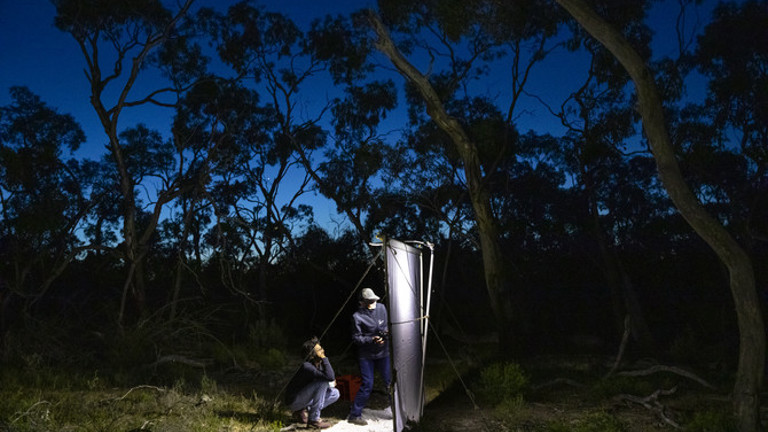 Two people stand before a white sheet in an arid forest at twilight. 