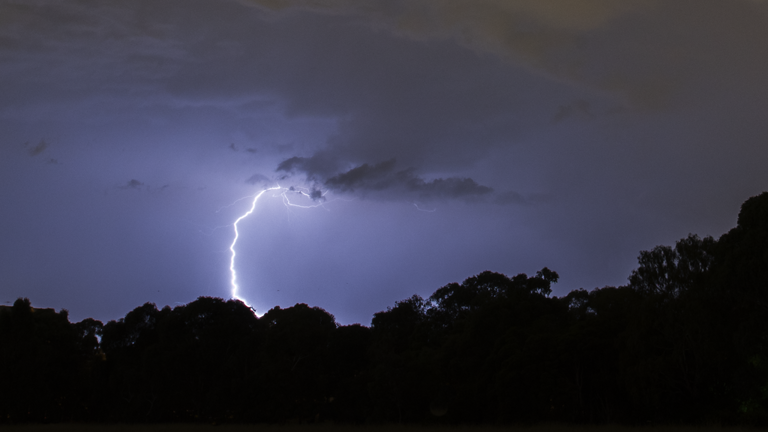 Lightning strike behind trees