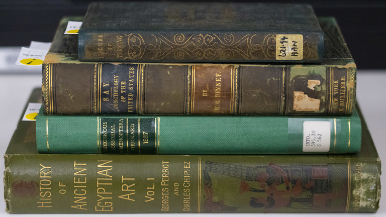 four brightly coloured books stacked on top of each others