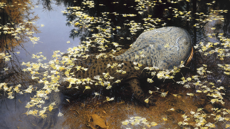 A painting of a large amphibian poking its head out of water that is covered in petal