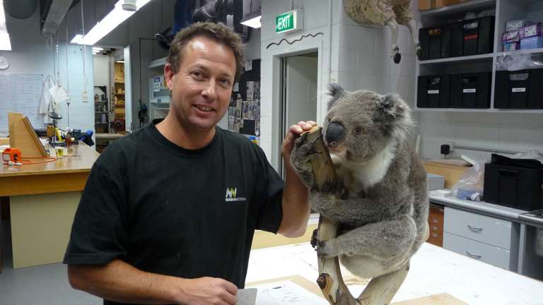 man with taxidermied koala