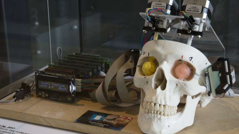 skull with testing equipment attached